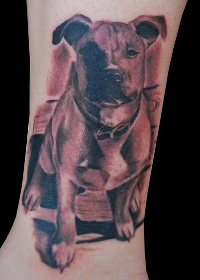 Adam Lauricella - Black and Gray Pitbull Portrait Tattoo